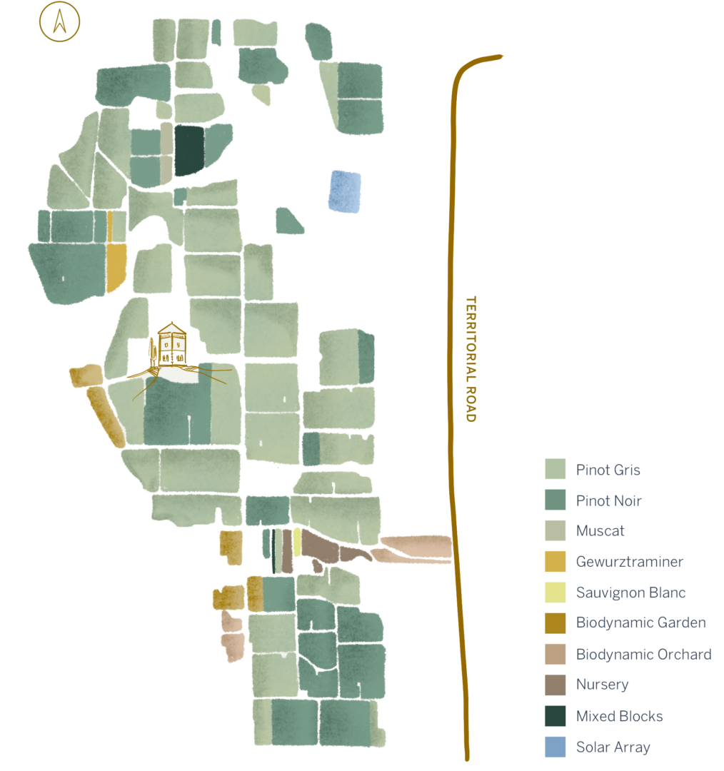 King Estate map