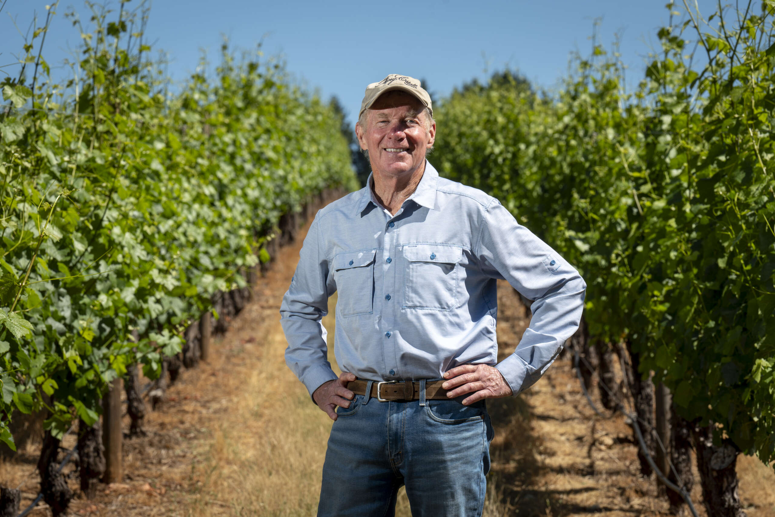 Spotlight On Bradshaw Vineyard King Estate Winery