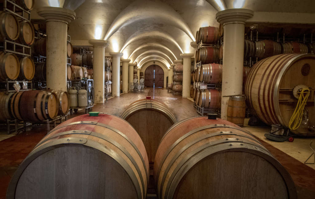 barrels of wine