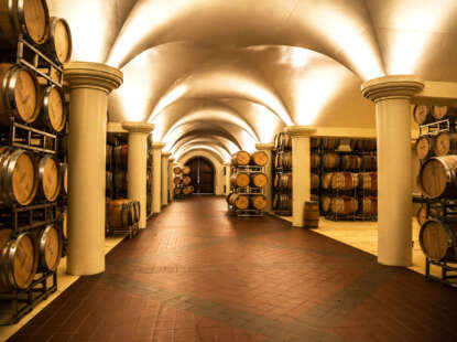 King Estate Winery photo 9