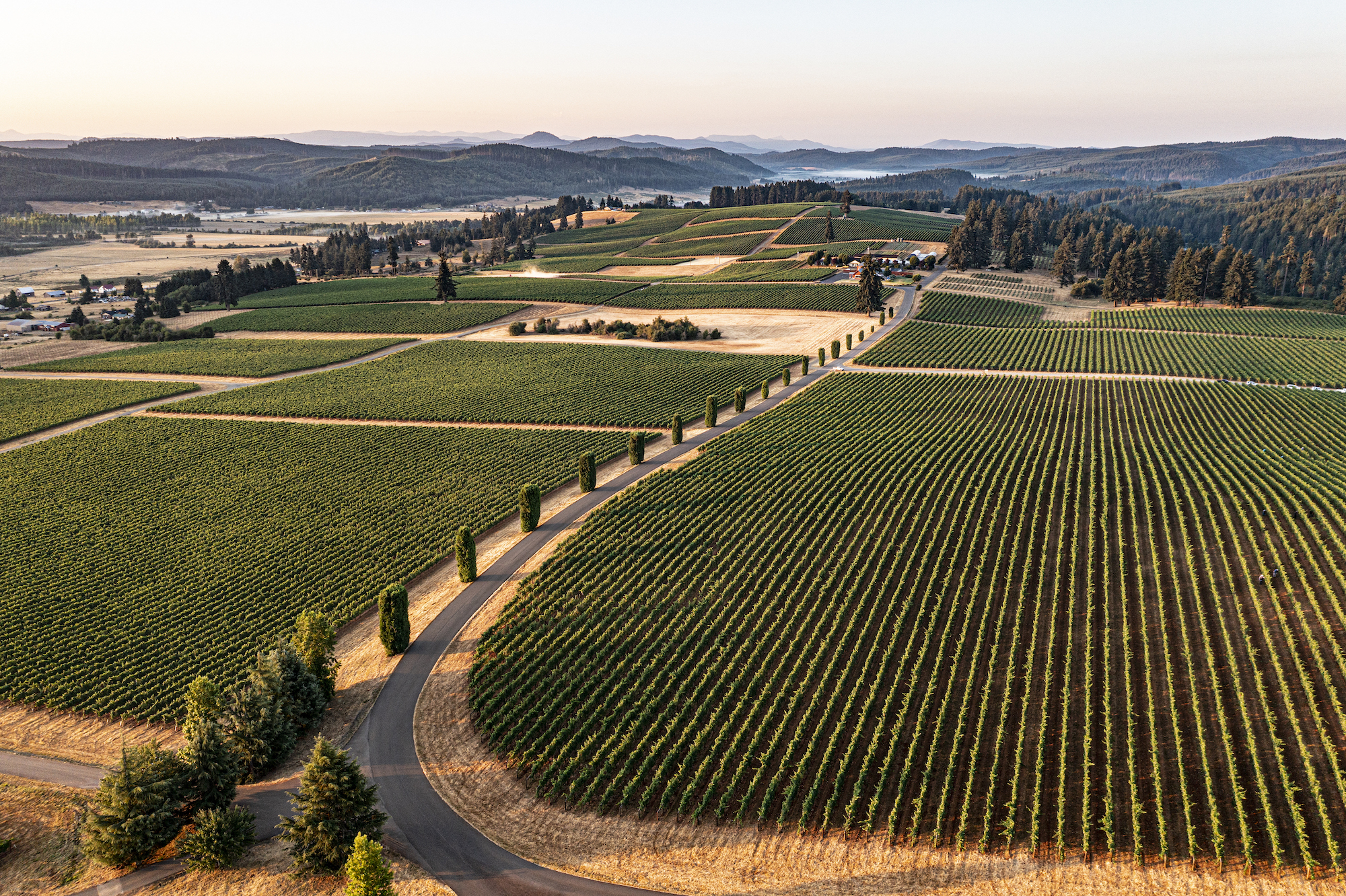 Amenities at King Estate Winery in Willamette Valley