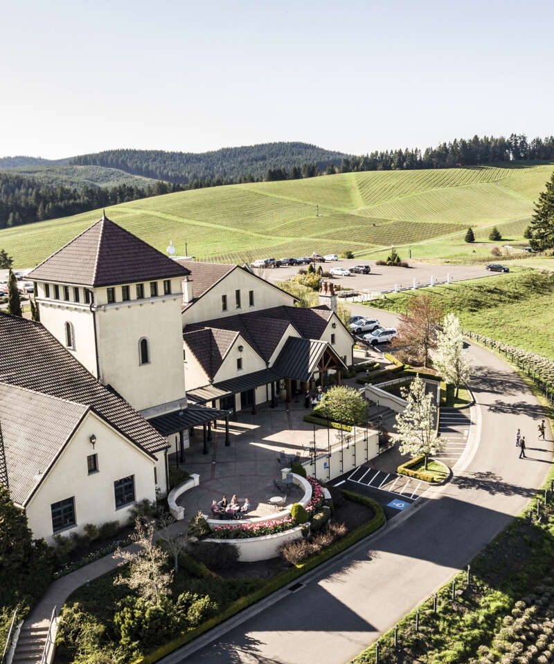 King Estate Winery Vineyard in Willamette Valley, Eugene, OR