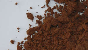 Soil from King Estate Siuslaw headwaters