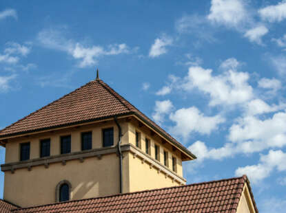 King Estate Winery photo 5